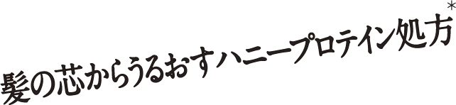 髪の芯からうるおすハニープロテイン処方＊